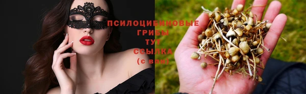 спиды Алексеевка