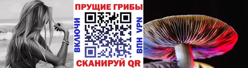 Псилоцибиновые грибы ЛСД  Коркино 