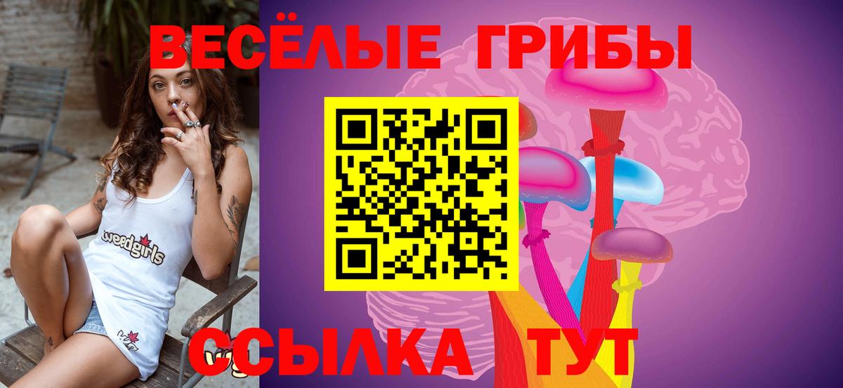 Галлюциногенные грибы мухоморы  Галлюциногенные грибы GOLDEN TEACHER  Коркино  Вход с VPN 